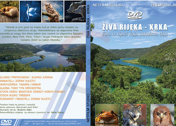 dvd-cover2